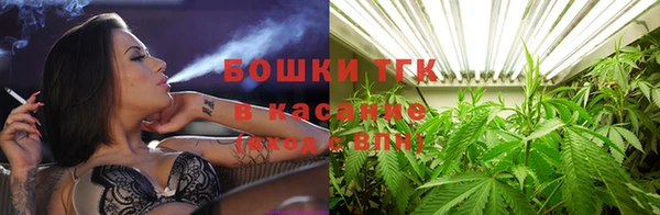 крисы Инсар