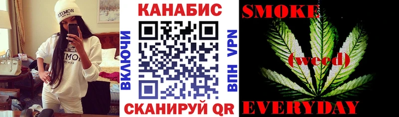 Конопля сатива  Купить где  Севск 